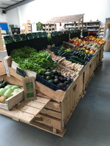 348390011 1291735804758770 8942746609107169751 n 225x300