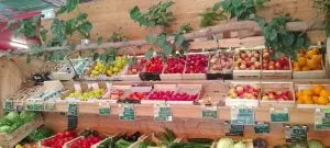 IMG 20230624 123659 300x135