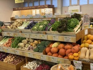 RAYONS VERTS LIMOGES 4 300x225