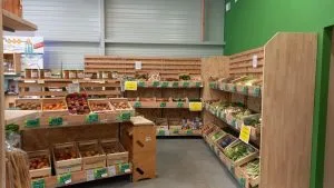 fruit legume 300x169