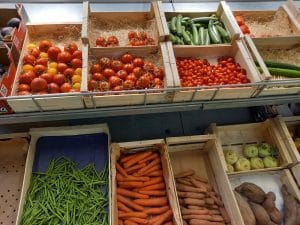 20220728 171900 300x225