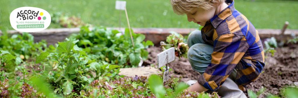 un potager bio