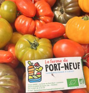 447881410 982648980528417 4765819017907428851 n 285x300