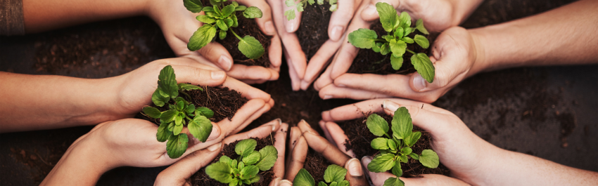 Ecoresponsable - Accord Bio