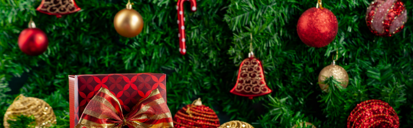 Sapin de noel - Accord Bio