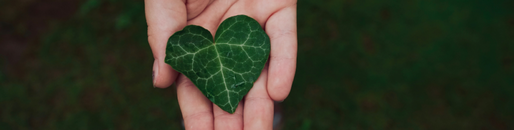bio et responsable - 2025