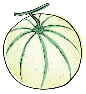 melon entier