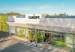 magasinbio canopy 1 300x209