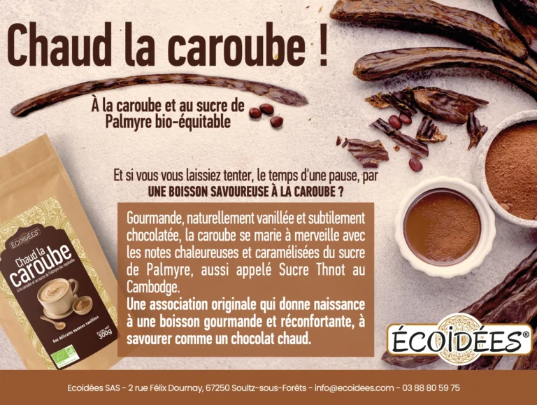ECOIDEES-ENCART-NUMERIQUE