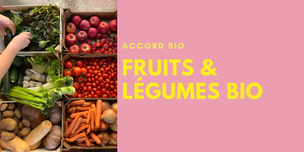 bannière-fruits-et-légumes-bio